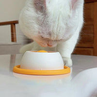 Gamelle Anti-Glouton & Jouet d'Éveil pour Chat — 2 en 1