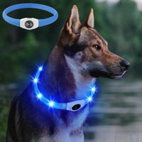Collier LED Lumineux Rechargeable USB — Sécurité Nocturne