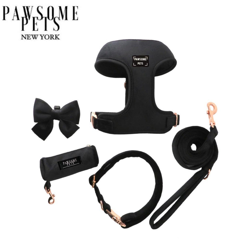 Kit Promenade All Black — Harnais + Collier + Laisse + Noeud Papillon