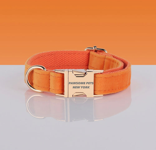 Collier Nylon Ajustable Pawsome — Toutes Tailles