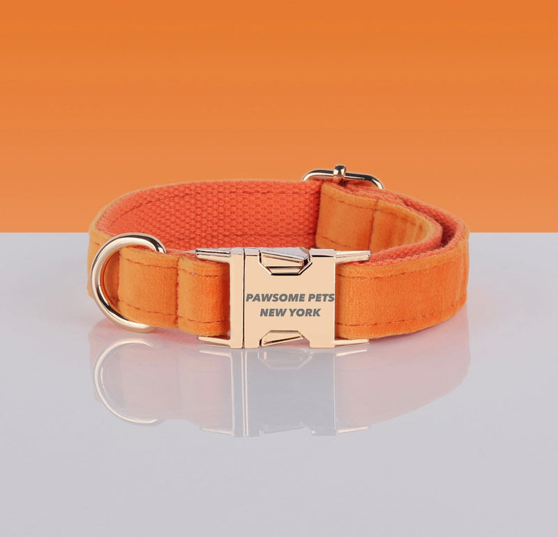 Collier Nylon Ajustable Pawsome — Toutes Tailles