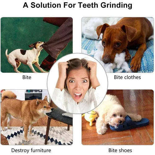 Balle à Mâcher Ultra-Résistante — Non Toxique pour Chien