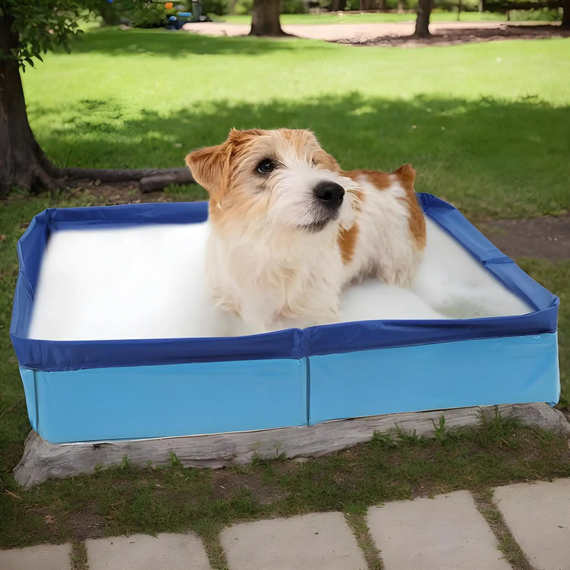 Piscine portable