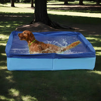 Piscine portable