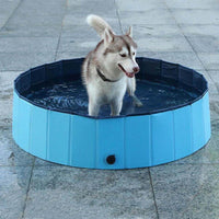 Piscine Gonflable pour Chien — 120 cm Bleu